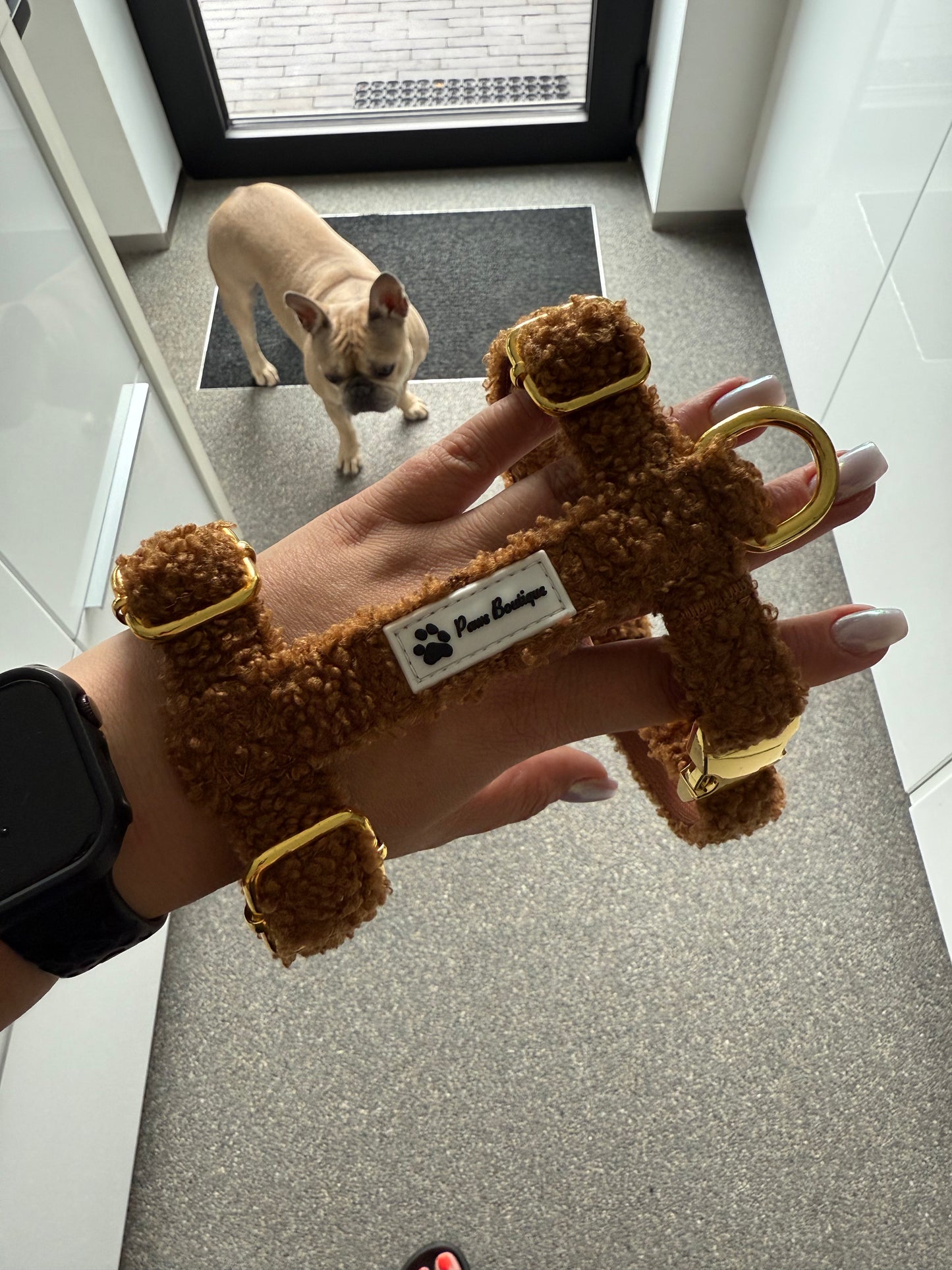 Harnass Teddy
