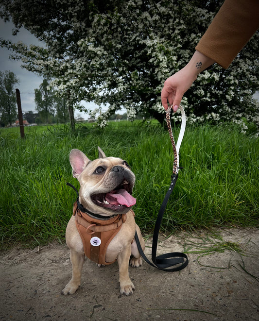Duo Full Leash Graphic leopard