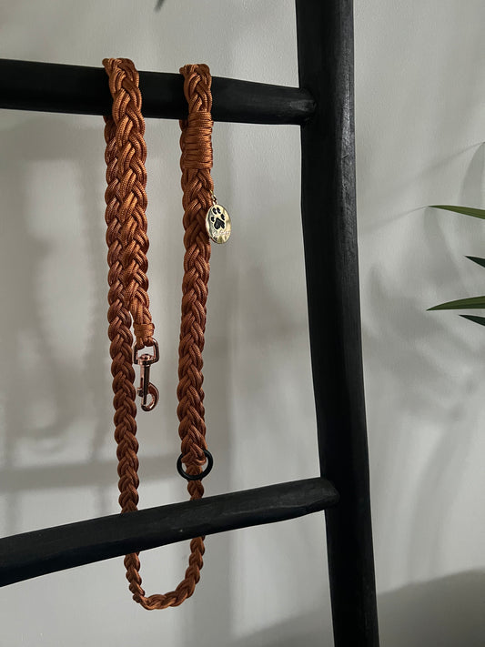 Braid leash Golden
