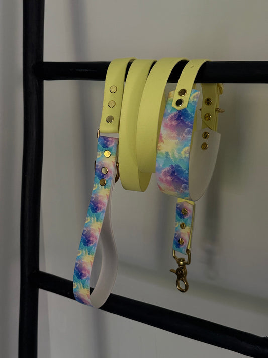 Duo Full Leash Graphic rainbow