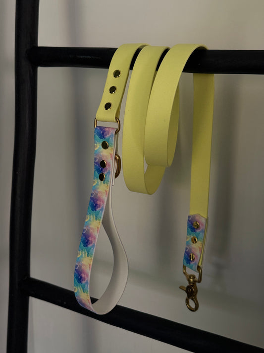 Duo Full Leash Graphic rainbow
