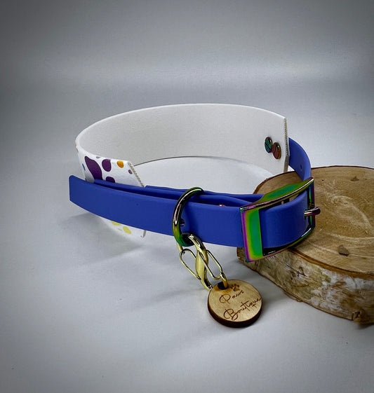 Duo Collar graphic rainbow paws