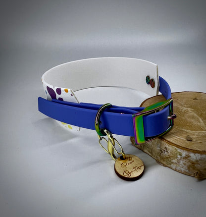 Duo Collar graphic rainbow paws