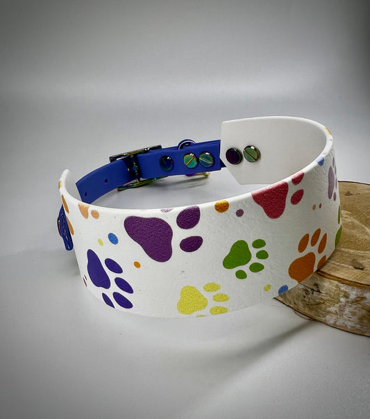 Duo Collar graphic rainbow paws