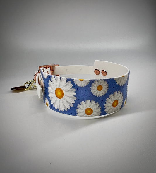 Duo Collar graphic Daisy