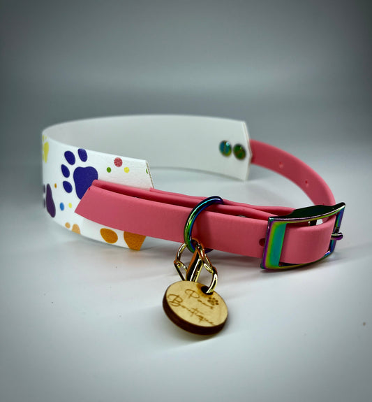 Duo Collar graphic rainbow paws