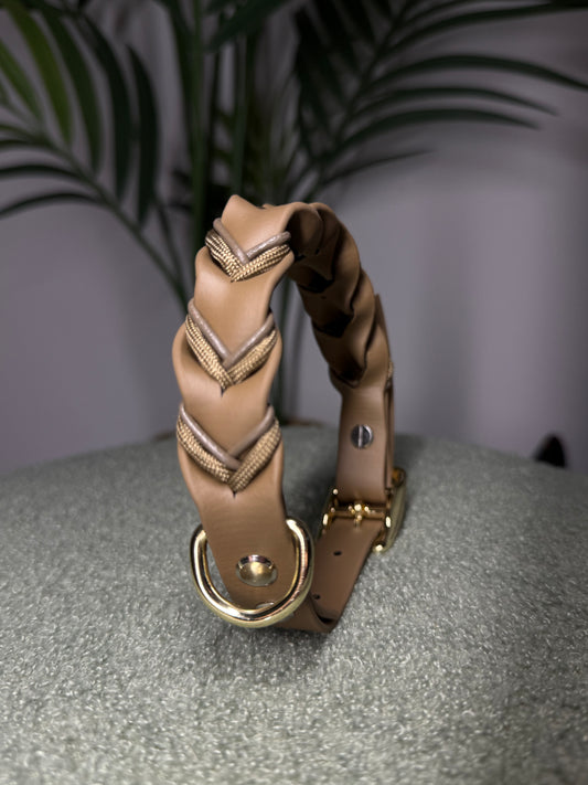Braid Coyote Bruin