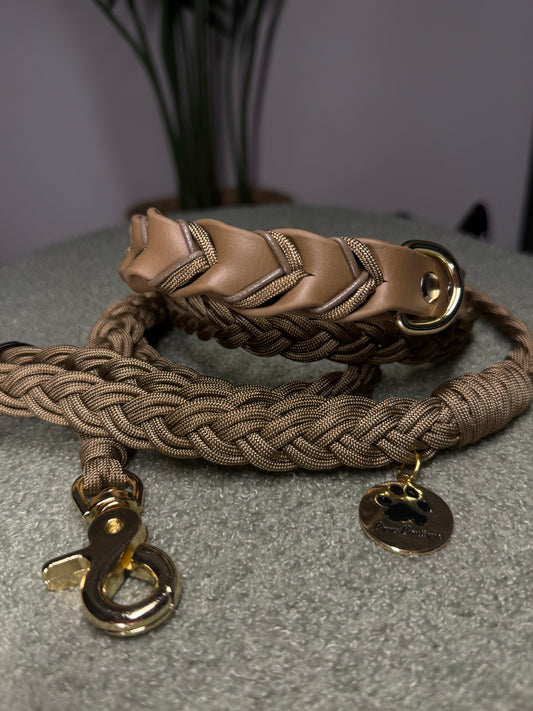 Braid Coyote Bruin